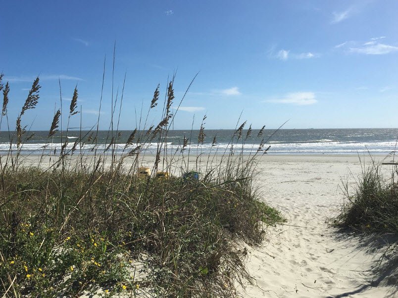Isle of Palms Beach, South Carolina, USA